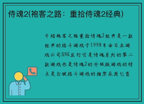 侍魂2(袍客之路：重拾侍魂2经典)